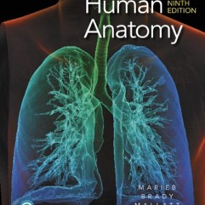 Test Bank for Human Anatomy 9th Edition Marieb 