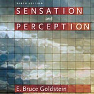 Test Bank for Sensation and Perception 9th Edition Goldstein