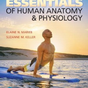 Test Bank for Essentials of Human Anatomy and Physiology 12th Edition Marieb