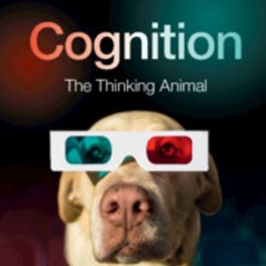 Test Bank for Cognition The Thinking Anima 4th Edition Willingham